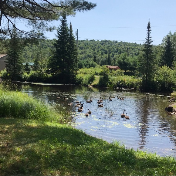 Meet your Posher, Lauren - Picture 1 of 1